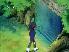 Hmm, a secret tunnel in the middle of the woods. Nothing out of the ordinary...