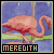 Meredith Rocks!