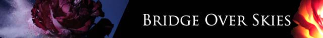 .:: Bridge Over Skies ::.