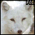 Arctic Fox
