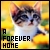 A Forever Home