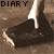 Riddle's Diary