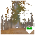 Forests