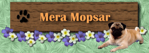 merabanner.gif (21940 bytes)