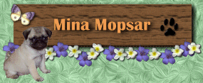 minabanner.gif (24273 bytes)