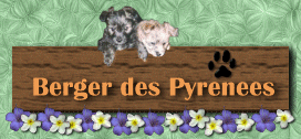 pyrrebanner.gif (24127 bytes)