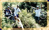 Imagem 01