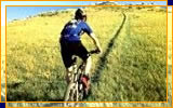 Imagem 05
