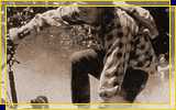 Imagem 03