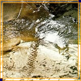 Imagem 02