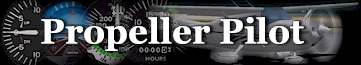 pilotlogo1.jpg (29046 bytes)