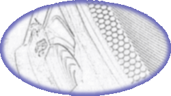 REL Storm III icon