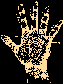 Cheiromancy, or the Science of Palmistry