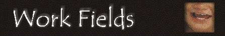 Work Fields