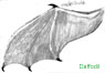 The leather-side of a wing; drawn by Daffy...and I'll have you know I had a *heck* of a time getting rid of the hole in the middle of this! *and* the lines..I *HATE* notebook paper. You're expressly forbidden to draw on such paper again, Daffy.  ~Ananda