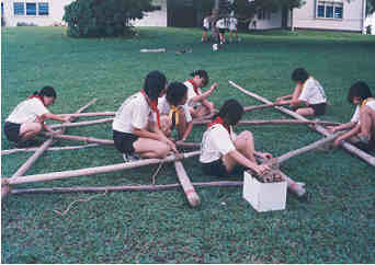 picturestore/pioneering.jpg
