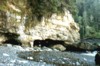 caves at low tide