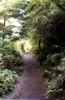 the trail head path - going down!