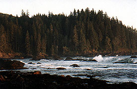 Waves crash the shore at Sombrio