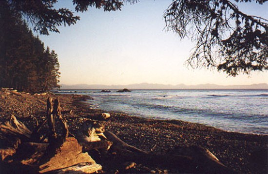 beach.JPG