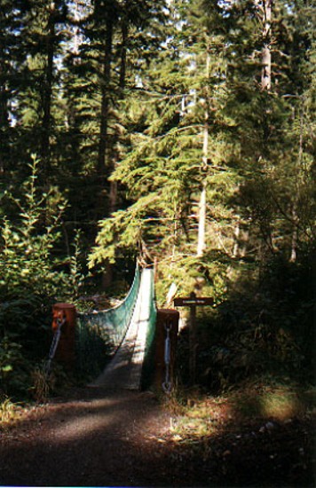 suspension bridge swings out over Sombrio river