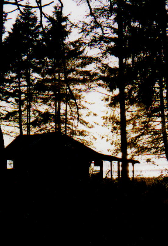 Surfer's cabin at twilight