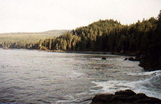 The east side beach looking past the river