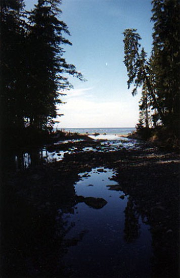 A view of the Sombrio river meeting the ocean