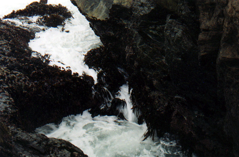 tides surge through the seaweed and rocks