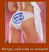 funnypics002.jpg