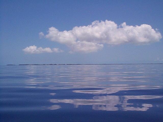 (50KB) Motorsailing north to Bimini.