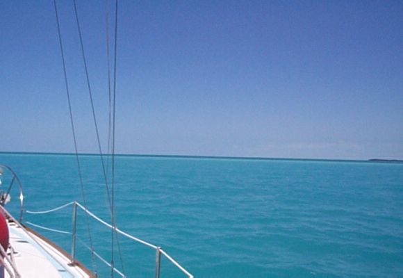 (24KB) A Fish Mud. Mangrove Cay, Grand Bahama, Bahamas.