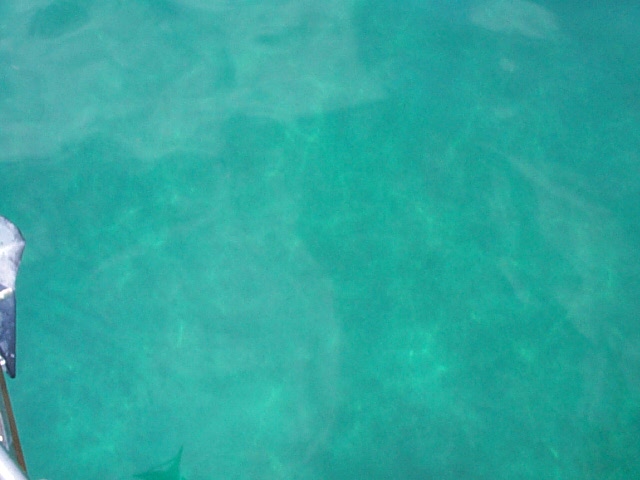 (74KB) 35 feet, Water Color, Bimini, Bahamas