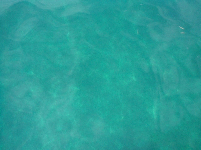 (75KB) 35 feet, Water Color, Bimini, Bahamas