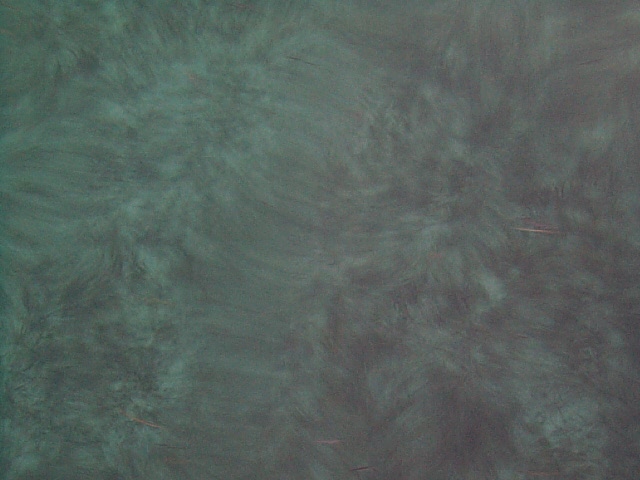 (86KB) 30 feet, Water Color, Bimini, Bahamas