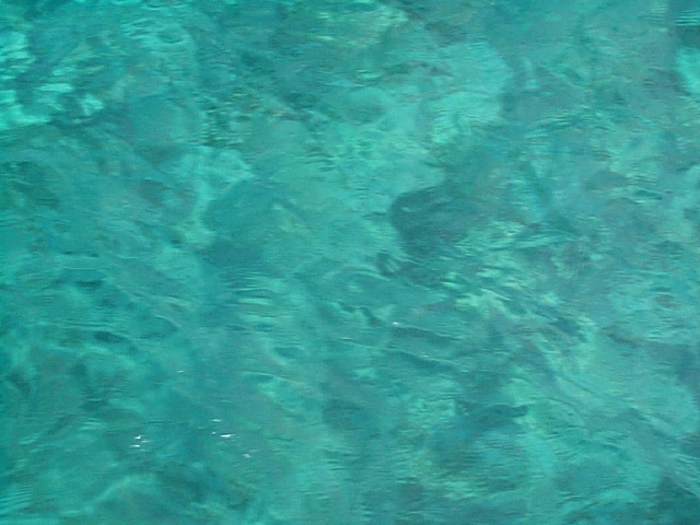 (98KB) 15 feet, Water Color, Bimini, Bahamas