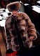 furfashion29.jpg