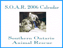 2006 Calendar