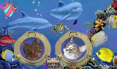 Zena and Stan Looking Out the Portholes