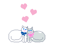 Valentine cats