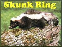 the skunk
ring's homepage