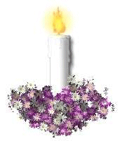 Calli Candle