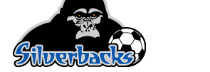 Atlanta Silverbacks