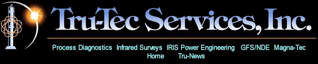 Tru Tec.jpg (26474 bytes)