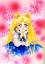 Usagi w/pink bg and flowers