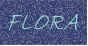 boton4.jpg (1551 bytes)
