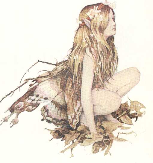 encu.jpg (28364 bytes)