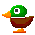duck