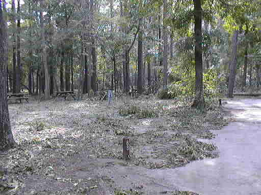It took 5 days to clean up all this mess...