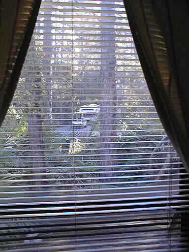 inside looking outside